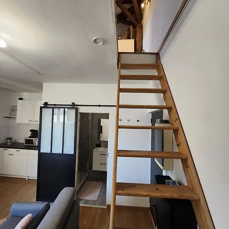 Le Duplex Du Paul B. Apartment *