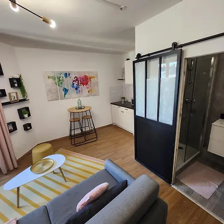 Appartement Le Duplex Du Paul B. *