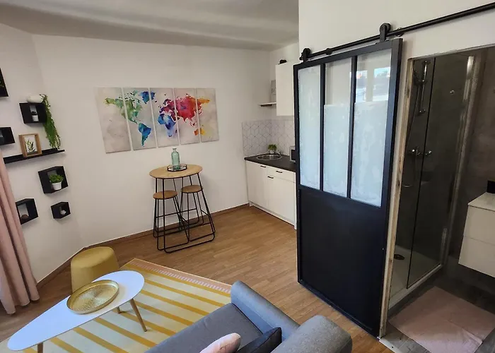 Appartement Le Duplex Du Paul B. *